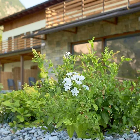 Agriturismo De Bas-2